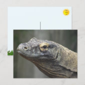 Carte postale de dragon de Komodo (Devant / Derrière)