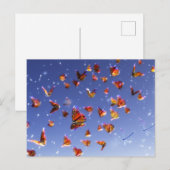 Carte postale de Fantaisie d'Été (Devant / Derrière)