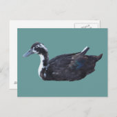 Carte postale de ferme de canard noir mignon (Devant / Derrière)