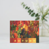 Carte postale de feuillage d'automne (Debout devant)