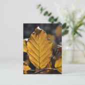Carte postale de feuille d'automne (Debout devant)