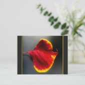 Carte postale de feuilles d'automne (Debout devant)