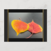 Carte postale de feuilles d'automne (Devant)