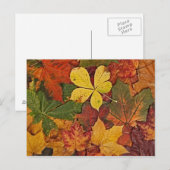 Carte postale de feuilles d'automne colorées (Devant / Derrière)