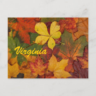 Carte postale de feuilles d'automne de Virginie