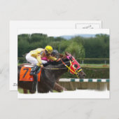 Carte postale de fin course de cheval (Devant / Derrière)
