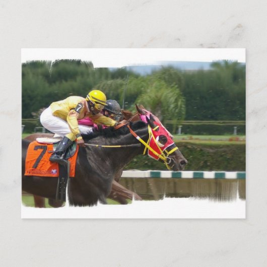 Carte postale de fin course de cheval (Devant)