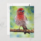 Carte postale de Finchy (Devant / Derrière)