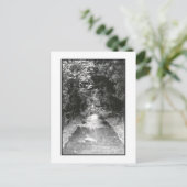 Carte postale de Fire Island après la pluie (Debout devant)