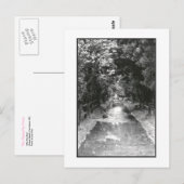 Carte postale de Fire Island après la pluie (Devant / Derrière)