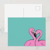 Carte postale de Flamingos (Devant / Derrière)