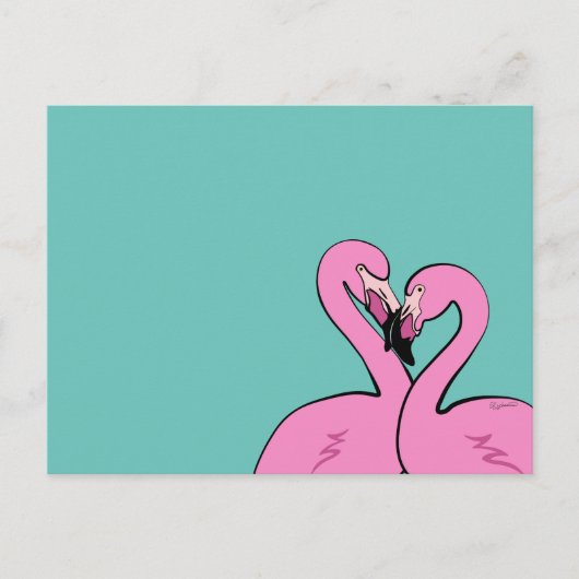 Carte postale de Flamingos (Devant)