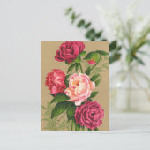 Carte postale de fleur (Debout devant)