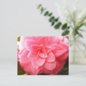 Carte postale de fleur de Camellia (Debout devant)