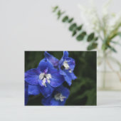 Carte postale de fleur de Delphinium bleu (Debout devant)