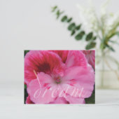 Carte postale de fleur de géranium rose rêveuse (Debout devant)