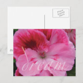 Carte postale de fleur de géranium rose rêveuse (Devant / Derrière)