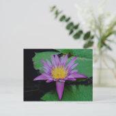 Carte postale de fleur de lotus pourpre avec feuil (Debout devant)