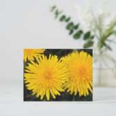 Carte postale de fleur de pissenlit jaune rustique (Debout devant)
