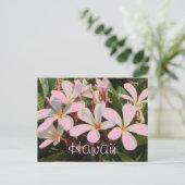 Carte postale de fleur de plumeria rose Hawaii (Debout devant)