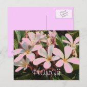 Carte postale de fleur de plumeria rose Hawaii (Devant / Derrière)