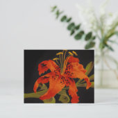 Carte postale de Fleur de Tigre (Debout devant)