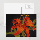 Carte postale de Fleur de Tigre (Devant / Derrière)