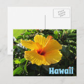 Carte postale de fleur d'hibiscus jaune Hawaii (Devant / Derrière)