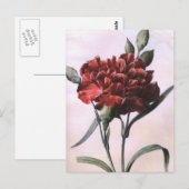 Carte postale de fleur d'œillet d'art vintage roug (Devant / Derrière)