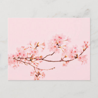 Carte postale de fleur en marbre rose