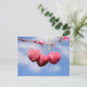 Carte postale de fleur Hanging_hearts (Debout devant)