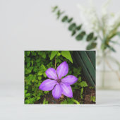 Carte postale de fleur violette (Debout devant)