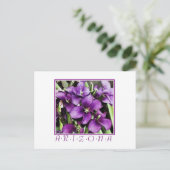 Carte postale de fleur violette d'Arizona (Debout devant)