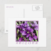Carte postale de fleur violette d'Arizona (Devant / Derrière)