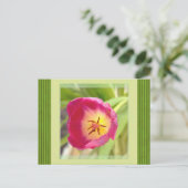 Carte postale de fleurs (Debout devant)