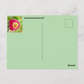 Carte postale de fleurs (Dos)