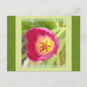 Carte postale de fleurs (Devant)