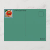 Carte postale de fleurs (Dos)