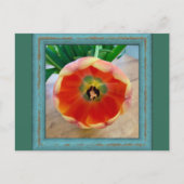 Carte postale de fleurs (Devant)