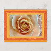 Carte postale de fleurs (Devant)
