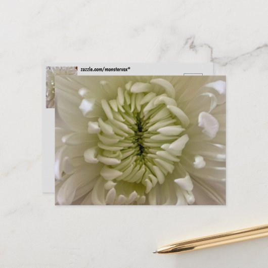 Carte postale de fleurs (Devant/Arrière en situation)