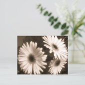 carte postale de fleurs blanches (Debout devant)