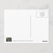 Carte postale de fleurs blanches, domaine (Dos)