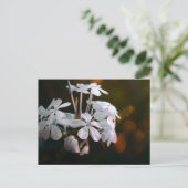Carte postale de fleurs botaniques élégantes (Debout devant)