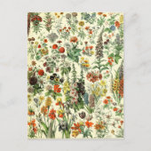Carte postale de fleurs botaniques vintage (Devant)