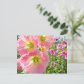 Carte postale de fleurs d'Althaea (Debout devant)