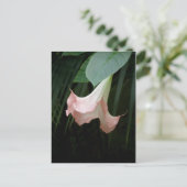 carte postale de fleurs d'arbre (Debout devant)