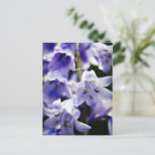 Carte postale de fleurs de Bluebell (Debout devant)
