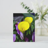 Carte postale de fleurs de calle violet et jaune (Debout devant)