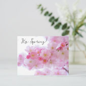 Carte postale de fleurs de cerisier (Debout devant)